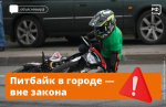 JPG Файл